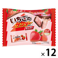 クランチチョコレート 個包装 お配り菓子 いちごのサンダー　ミニバー　約10本入 1セット（1個×12）