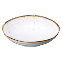 アースモス 渕錆粉引麺皿 tri-315166717 1セット(5個入)（直送品）