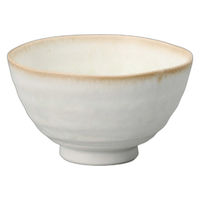 アースモス サビボカシ渕波大平 tri-316565648 1セット(5個入)（直送品）