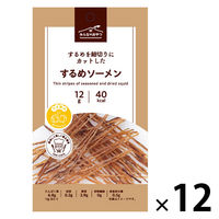 おつまみ みんなのおやつ　するめソーメン 1セット（1個×12）