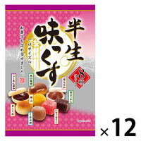 和菓子 個包装 お配り菓子 半生味っくす 1セット（1個×12）