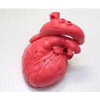 島津理化 心臓シミュレータ XC-03T 1個 62-9217-81（直送品）