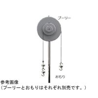 島津理化 20gおもり 5個組(輪軸用・実験用てこ用・力学用) 190771 1台 67-7090-48（直送品）