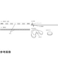島津理化 実験用てこ用うで 190706 1台 67-7090-55（直送品）