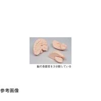 京都科学 右脳 K11120-004 1台 67-7097-04（直送品）