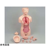 京都科学 タッチゃんII脳蓋つき本体 K11120-006 1台 67-7097-06（直送品）