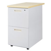 lbgtH[X ibc e 2i t X`[ 400×s700mm j[O[×i` LD-WD2-AW-NG-NA 1iij