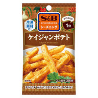 SPICE＆HERBシーズニング ケイジャンポテト 9g 1袋 エスビー食品 料理の素　簡単　時短　簡便