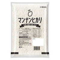 マンナンヒカリ 業務用 1kg  1個 大塚食品