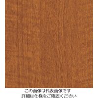 スリーエム ジャパン 3M ダイノックフィルム FWー888 1220mmX50m FW888 1巻 102-9534（直送品）