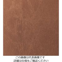 スリーエム ジャパン 3M ダイノックフィルム VMー1693 1220mmX25m VM1693 1巻 103-9196（直送品）
