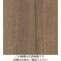 スリーエム ジャパン 3M ダイノックフィルム WGー1708 1220mmX50m WG1708 1巻 103-9234（直送品）