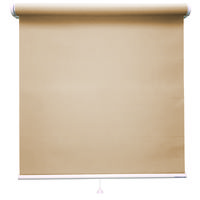 立川機工 ロールスクリーン 無地 TR-1014 120×30cm モカ 1台（直送品）