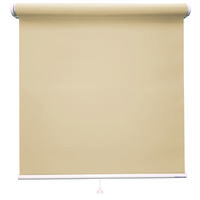 立川機工 ロールスクリーン 無地 TR-1011 105×230cm ベージュ 1台（直送品）