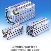 TAIYO エアーシリンダ 10Sー6CA100N60T 10S-6CA100N60T 1個（直送品）