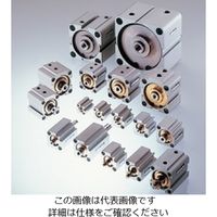 TAIYO エアーシリンダ 10Sー1LA100N75T 1個（直送品）