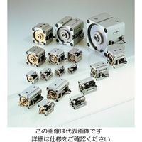 TAIYO エアーシリンダ 10Sー1RFA50N40ーW2 1個（直送品）