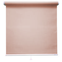 立川機工 ロールスクリーン 無地 TR-1015 65×220cm アーモンド 1台（直送品）