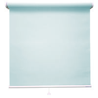 立川機工 ロールスクリーン 無地 TR-1024 145×140cm Ｐブルー 1台（直送品）