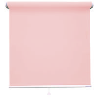 立川機工 ロールスクリーン 無地 TR-1016 155×220cm ピーチ 1台（直送品）