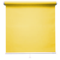 立川機工 FIRSTAGE ファーステージ ロールスクリーン 無地 700×600mm Ｌイエロー TR-163 1台（直送品）