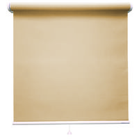 立川機工 ロールスクリーン 防炎 TR-1047 100×230cm シナモン 1台（直送品）