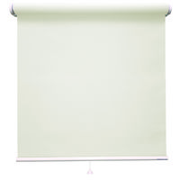 立川機工 ロールスクリーン 防炎 TR-1041 145×30cm ココ 1台（直送品）