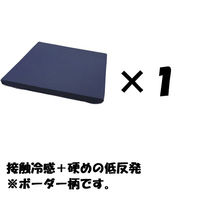 クリエイトアルファ 1枚SET NB 冷たくて気持ちいいスーパーハード低反発クッション 4582243 773737-NB-1 1SET（直送品）