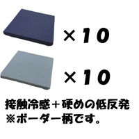 クリエイトアルファ 20枚SET AS 冷たくて気持ちいいスーパーハード低反発クッション（直送品）