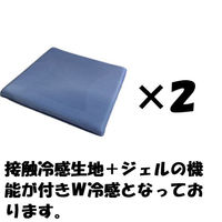 クリエイトアルファ 冷たくて気持ちいいダブル冷感低反発クッション（スクエア）