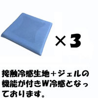 クリエイトアルファ 3枚SET SB 冷たくて気持ちいいダブル冷感低反発クッション(スクエア） 4582243 773867-SB-3（直送品）