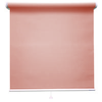 立川機工 FIRSTAGE ファーステージ ロールスクリーン 洗える 900×300mm サーモン TR-5121 1台（直送品）