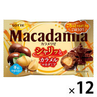 チョコレート菓子 マカダミアチョコレート　ポップジョイ　カラメリゼ　　34g 1セット（1個×12）