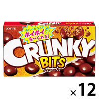 チョコレート菓子 クランキービッツ　63g 1セット（1個×12）