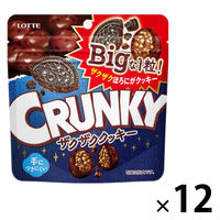 チョコレート菓子 クランキービッグパウチ　ザクザククッキー　72g 1セット（1個×12）