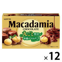 チョコレート菓子 マカダミアチョコレート　9粒入 1セット（1個×12）