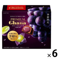 チョコレート菓子 プレミアムガーナ　フルーツショコラ　完熟巨峰　65g 1セット（1個×6）