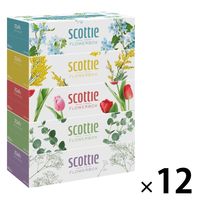 日本製紙クレシア スコッティ ティッシュ フラワーボックス 250組 5箱パック 41331 12パック