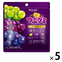 グミ 食べきりサイズ つぶグミ ＰＲＥＭＩＵＭ 濃厚ぶどう 75g 1セット（1個×5）