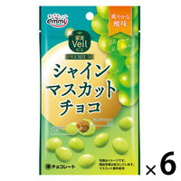 チョコレート 果実Veilシャインマスカットチョコ 37g 1セット（1個×6）