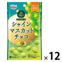 チョコレート 果実Veilシャインマスカットチョコ 37g 1セット（1個×12）