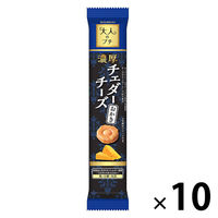 せんべい 煎餅 食べきりサイズ 大人のプチ　濃厚チェダーチーズおかき 10個入 1セット（1袋×10）