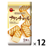 チョコレート菓子 食べきりサイズ ブランチュール 9個入 1セット（1袋×12）