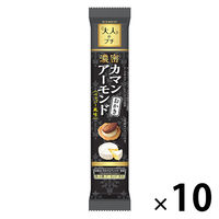 せんべい 煎餅 食べきりサイズ 大人のプチ　濃密カマンアーモンドおかき 10個入 1セット（1袋×10）