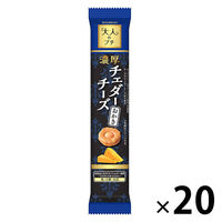 せんべい 煎餅 食べきりサイズ 大人のプチ　濃厚チェダーチーズおかき 10個入 1セット（1袋×20）
