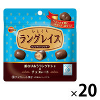 チョコレート菓子 食べきりサイズ ひとくちラングレイス 47g 1セット（1袋×20）