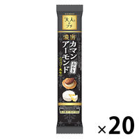 せんべい 煎餅 食べきりサイズ 大人のプチ　濃密カマンアーモンドおかき 10個入 1セット（1袋×20）