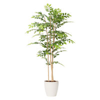 三和 ケヤキ3本立 SW2006-18 1個（直送品）