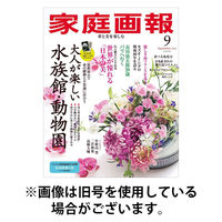 家庭画報 2025/12/01発売号から1年(12冊)(雑誌)（直送品）