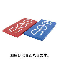エバニュー ミニマルチマットTP投 青 00350618 1枚（直送品）